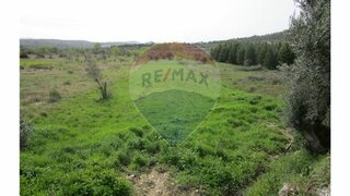 Terreno em Condeixa-a-Nova