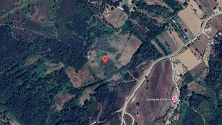 Terreno em Seia