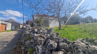 Land for sale in Pombal, Portugal — €30,000