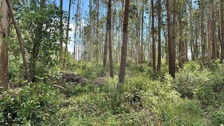 Land for sale in Oliveira do Bairro, Portugal — €11,000