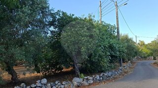 Land for sale in Ansião, Portugal — €25,000