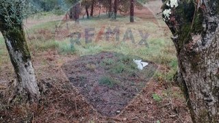 Terreno em Leiria