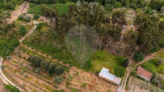 Land for sale in Carregal do Sal, Portugal — €35,000
