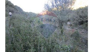 Terreno em Soure