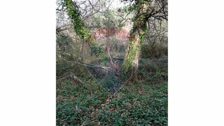 Land for sale in Lousã, Portugal — €40,000
