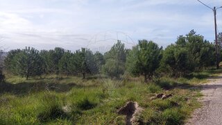 Terreno para venda em Soure, Portugal — 35 000 €
