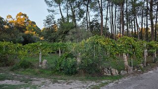 Terreno · 1490 m² · 3000 €