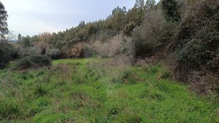 Land for sale in Penela, Portugal — €25,000