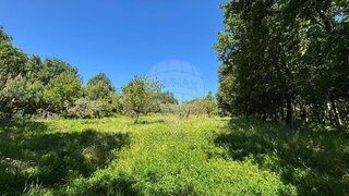 Land for sale in Seia, Portugal — €12,000