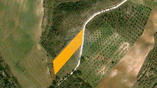 Terreno de 12 360 m² em Santarém