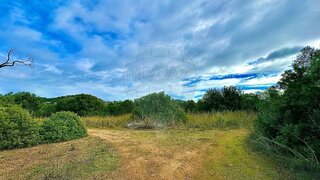 Terreno de 5480 m² em Faro