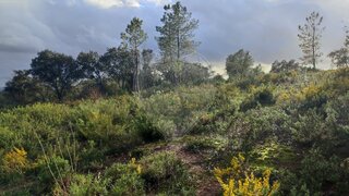 Land for sale in Tomar, Portugal — €70,000