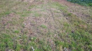 Terreno para venda em Mealhada, Portugal — 15 000 €