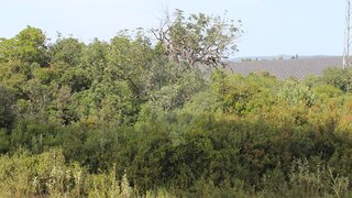 Land for sale in Albufeira, Portugal — €56,000