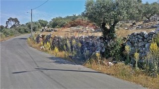 Land for sale in Pombal, Portugal — €80,000