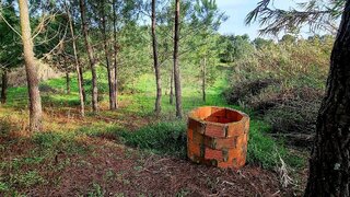 Terreno em Cartaxo