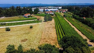Land for sale in Águeda, Portugal — €30,000