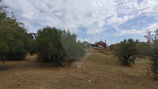 Land for sale in Torres Novas, Portugal — €48,000