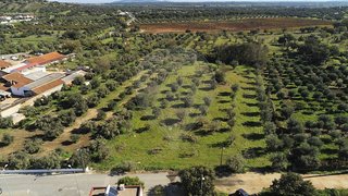 Land for sale in Reguengos de Monsaraz, Portugal — €120,000