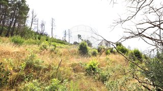 Land for sale in Covilhã, Portugal — €19,900