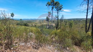 Land for sale in Castelo Branco, Portugal — €9,900
