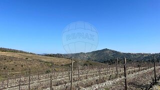 Land for sale in Vila Nova de Foz Côa, Portugal — €35,000