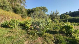 Land for sale in Sardoal, Portugal — €12,500