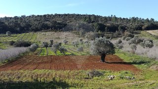 Land for sale in Tomar, Portugal — €49,990