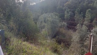 Land for sale in Abrantes, Portugal — €7,500