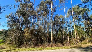 Land for sale in Ourém, Portugal — €11,000