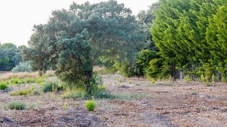 Land for sale in Torres Novas, Portugal — €49,500