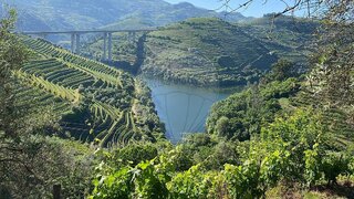 Land for sale in Lamego, Portugal — €150,000