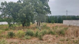 Land for sale in Anadia, Portugal — €128,500