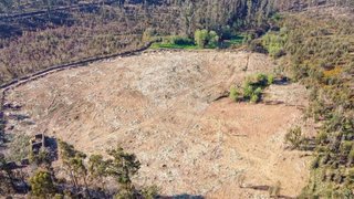 Land for sale in Santo Tirso, Portugal — €160,000