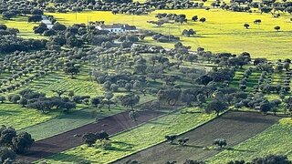 Land for sale in Reguengos de Monsaraz, Portugal — €40,000