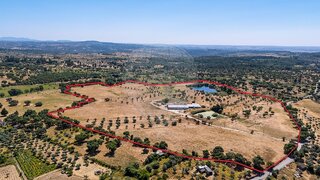 Terreno de 190 000 m² em Castelo Branco