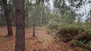 Land for sale in Valença, Portugal — €40,000