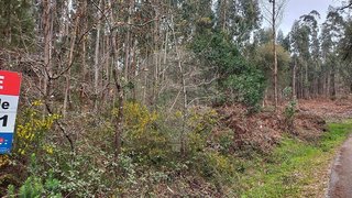 Land for sale in Alvaiázere, Portugal — €12,000
