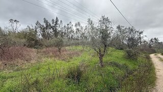 Terreno para venda em Pombal, Portugal — 35 000 €