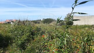 Land for sale in Sintra, Portugal — €160,000