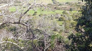 Land for sale in Arruda dos Vinhos, Portugal — €30,000