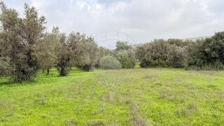 Land for sale in Albufeira, Portugal — €83,450