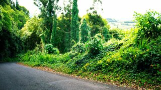 Land for sale in Horta, Portugal — €36,000