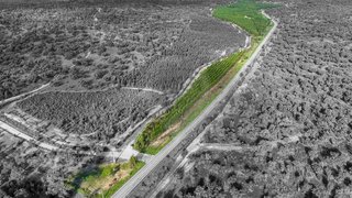 Land for sale in Coruche, Portugal — €380,000