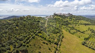 Land for sale in Reguengos de Monsaraz, Portugal — €50,000