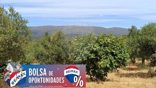 Land for sale in Torres Novas, Portugal — €13,900