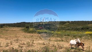 Land for sale in Sintra, Portugal — €125,000