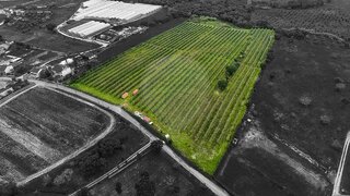 Land for sale in Cartaxo, Portugal — €220,000
