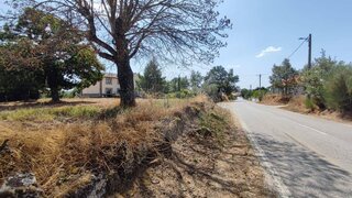 Terreno de 2125 m² em Guarda