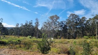 Land for sale in Oliveira de Azeméis, Portugal — €31,000